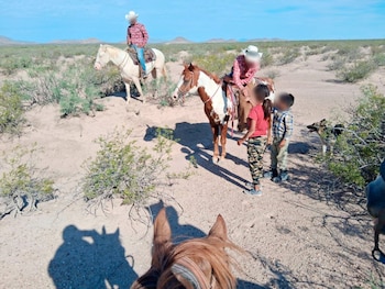 El perro pastor alemán acompañó