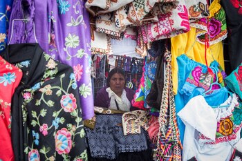 El Estado promoverá la inclusión