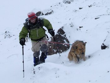 Junto a Oro llegando a