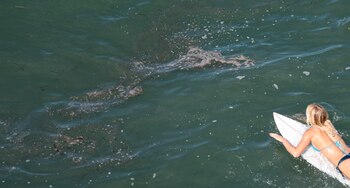 Una surfista con su tabla