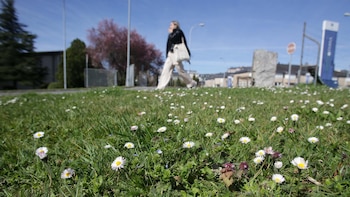 Físicos de la USC y la Universidad de Sevilla desvinculan el cambio de hora con riesgos graves para la salud