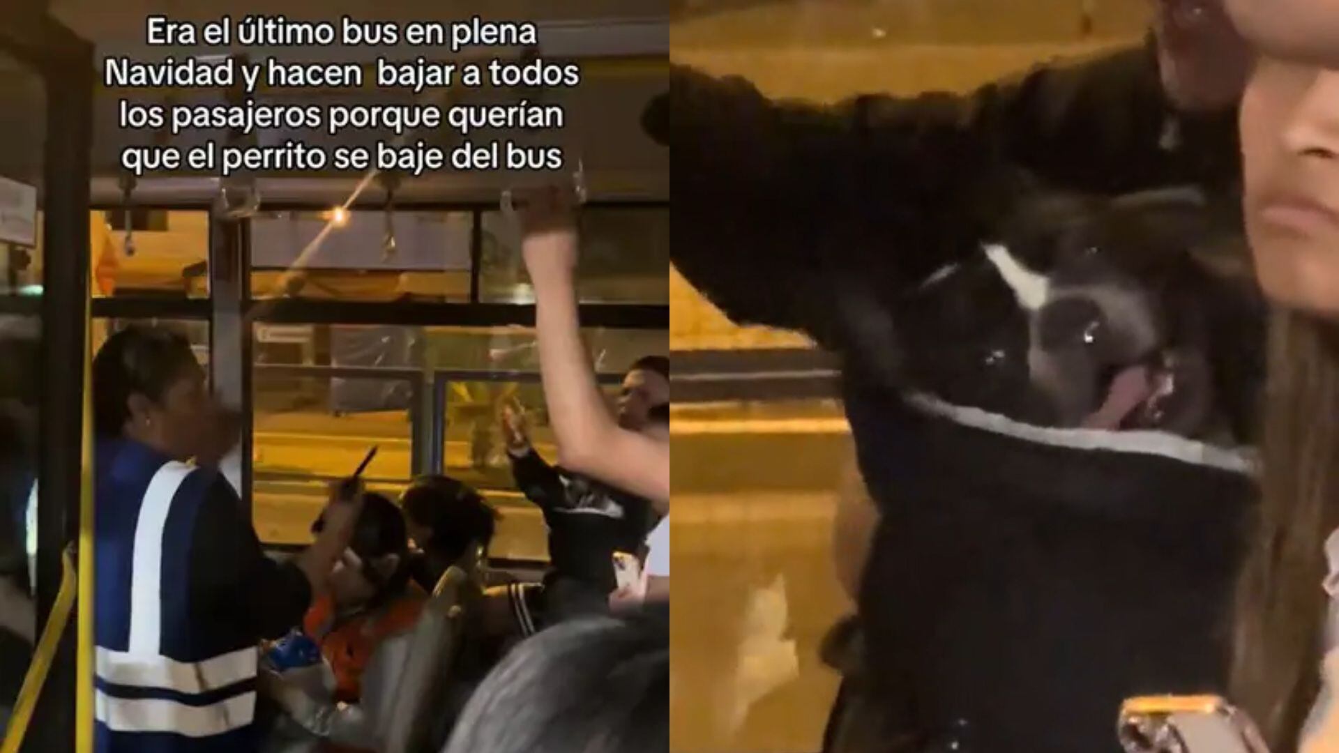 Usuario es obligado a bajar de bus del Metropolitano por viajar con su mascota.