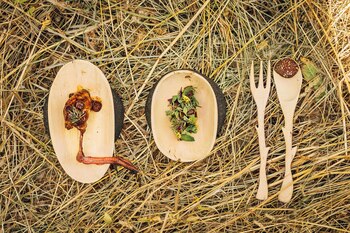 Platos elaborados a base de