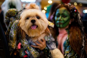 La estimación del gasto por consumidor en la celebración de Halloween ronda los 108 dólares, repartidos entre golosinas, vestimentas y decoraciones. (REUTERS/Lisa Marie David)
