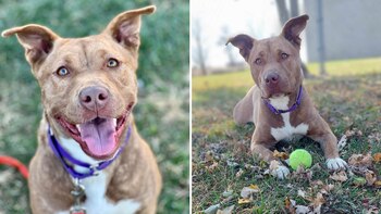 En el albergue realizaron un