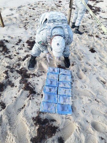 Cocaína entre sargazo