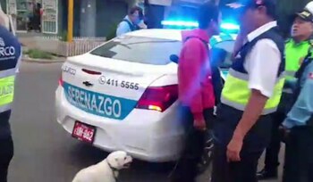 Serenos detienen a dos delincuentes