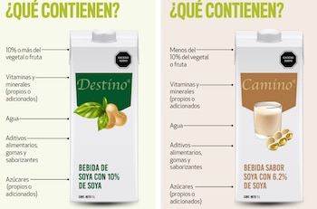 Un estudio realizado por la