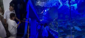 Túnel subacuático en Santa Marta.