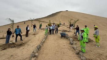 Cerro Bolongo: así es el