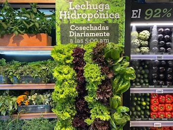 Carulla ofrecerá sus beneficios de