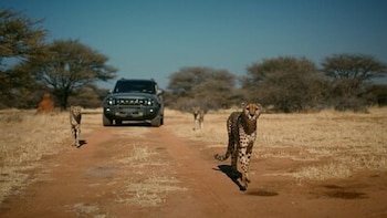 JETOURse acelera: ventas récord con