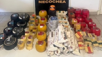 Estafa millonaria a una quesería en Mar del Plata: detuvieron a una mujer tras realizar 33 compras con pagos falsos