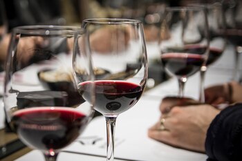 El mejor vino tinto de