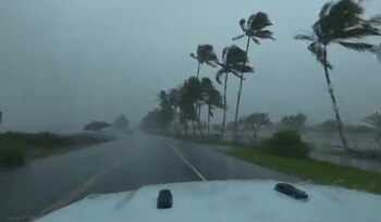 Vista desde el capó de un vehículo en una carretera mojada con palmeras inclinadas por fuertes vientos y lluvia bajo un cielo gris