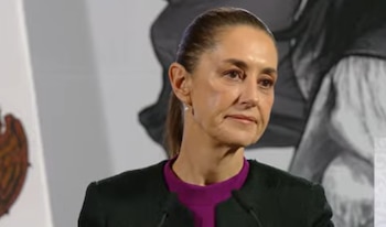 Nepotismo judicial, Claudia Sheinbaum