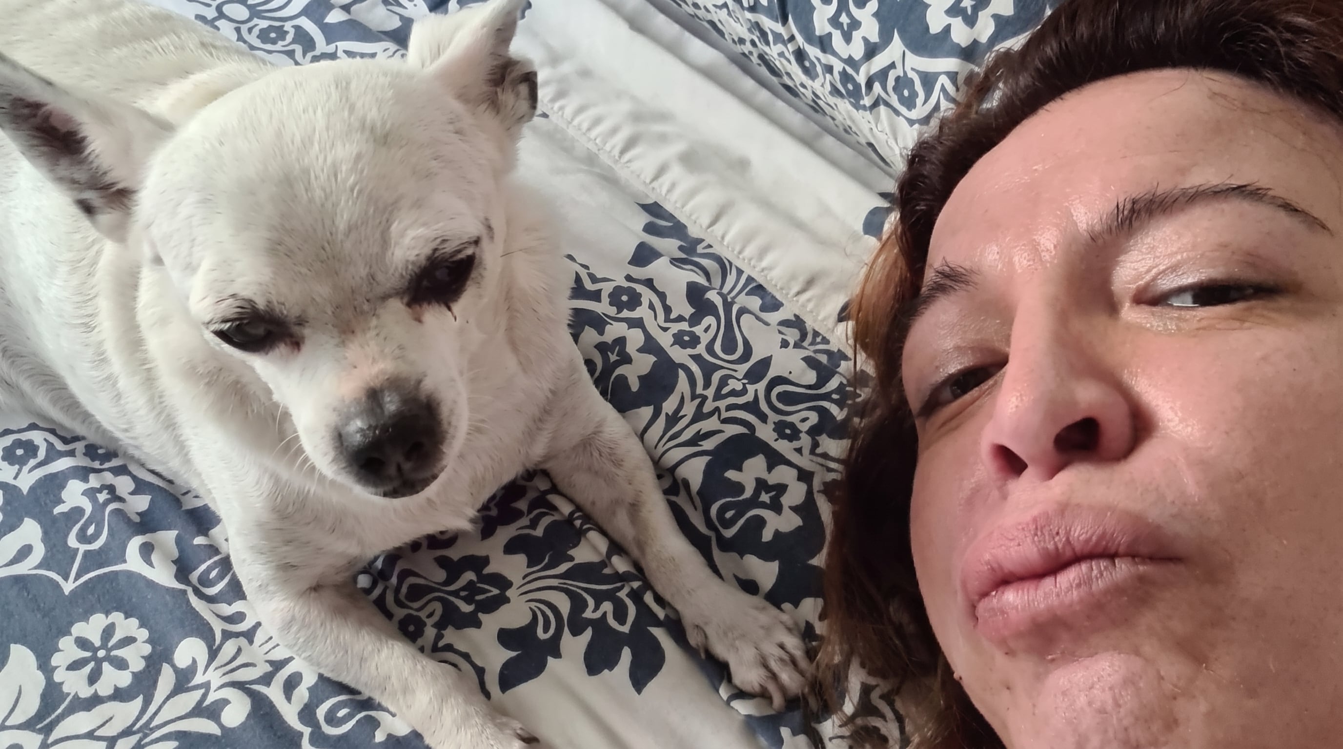 La tristeza de Lizy Tagliani por la muerte de su perro Benito: “El amor nunca termina”