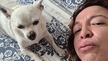 La tristeza de Lizy Tagliani por la muerte de su perro Benito: “El amor nunca termina”
