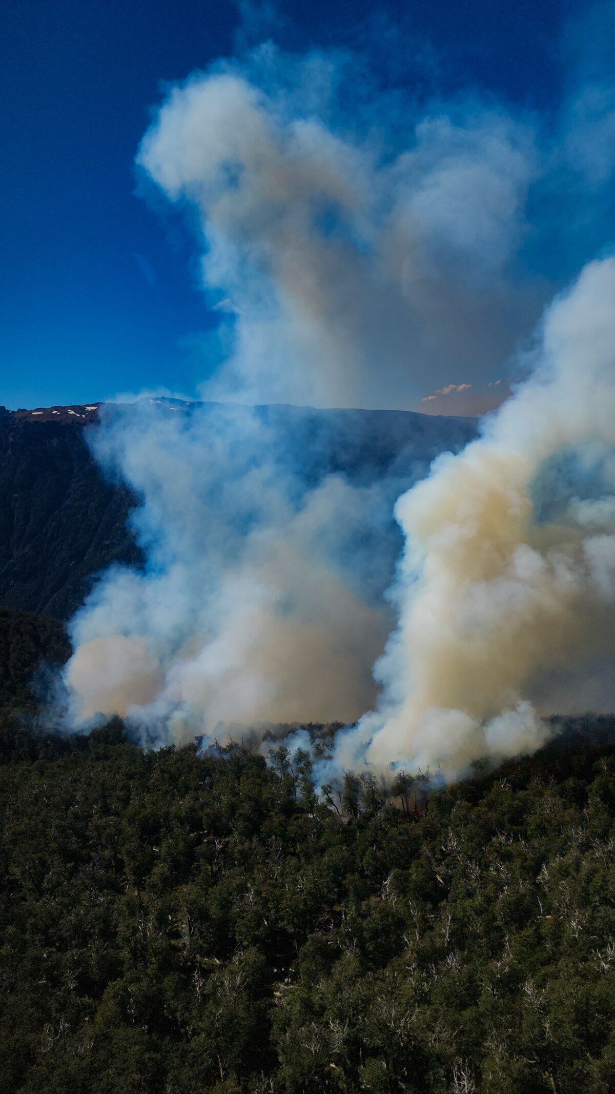 Incendio en Rio Negro