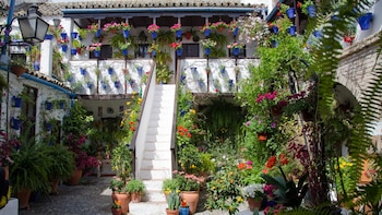 Estos son los patios más bonitos de Córdoba: rincones que transforman la ciudad y no te puedes perder en primavera