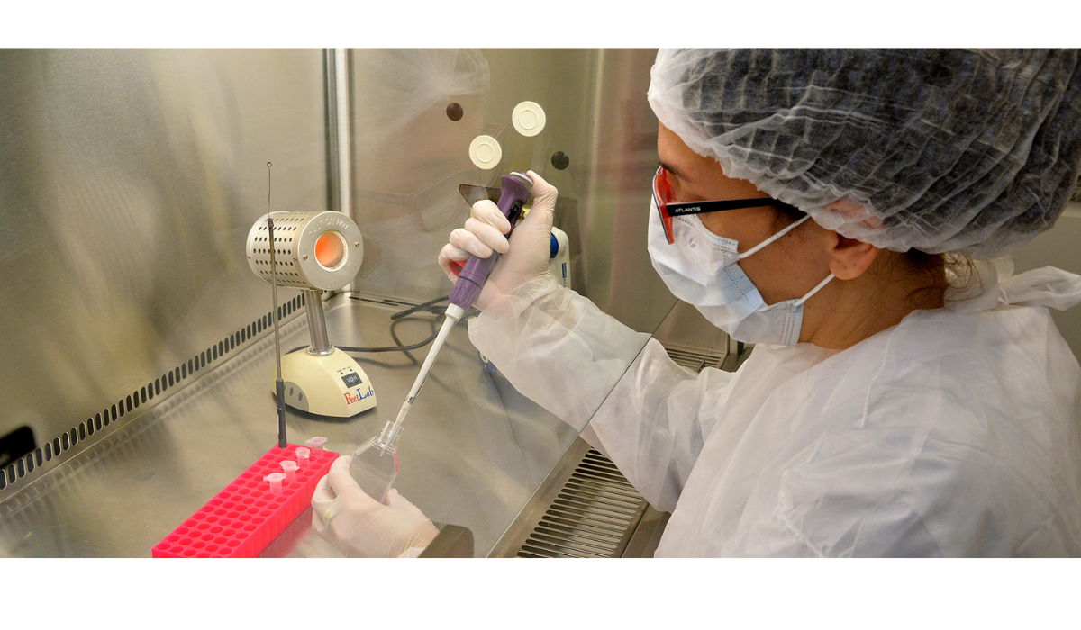 El proceso de revisión de fondos se enmarca en la política de racionalización del gasto público