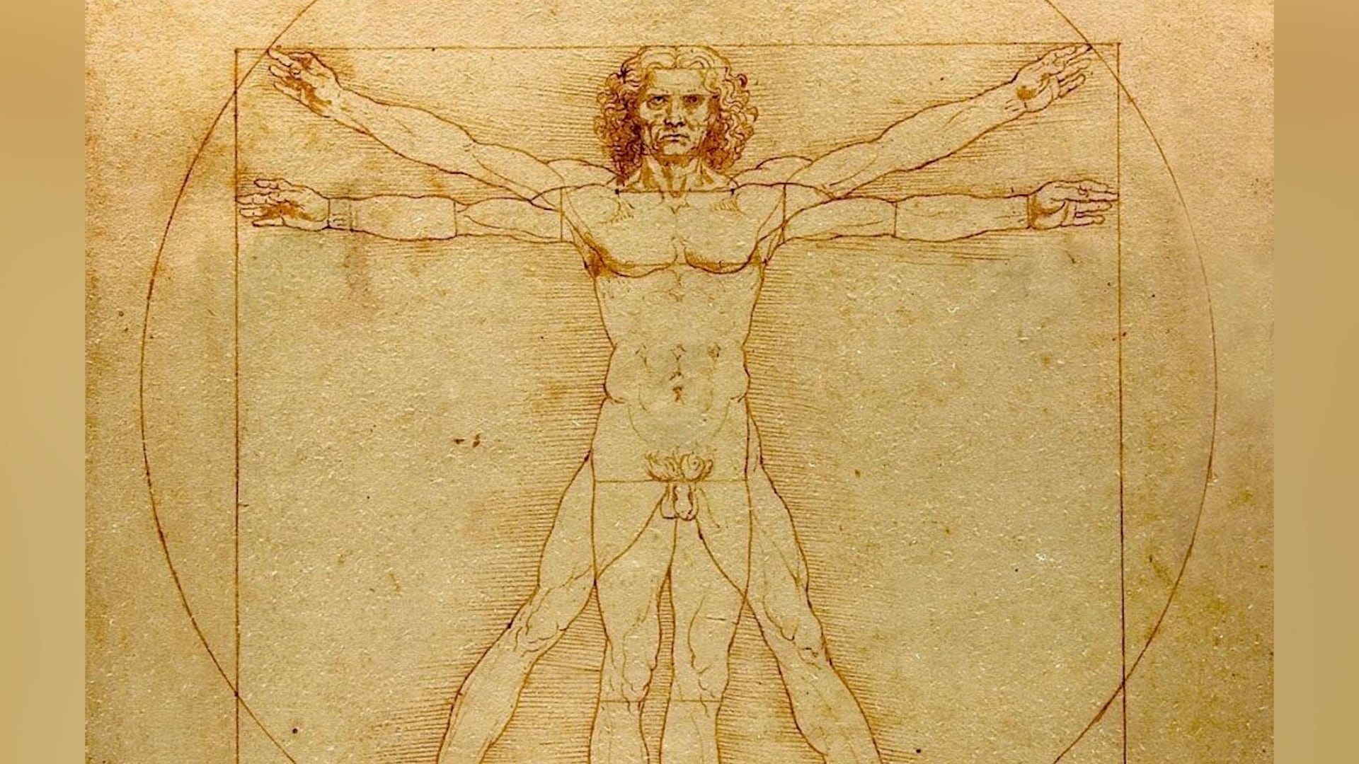 El tratado ‘De architectura’, principal legado escrito de Vitruvio, guió la identificación precisa de los restos descubiertos en Fano