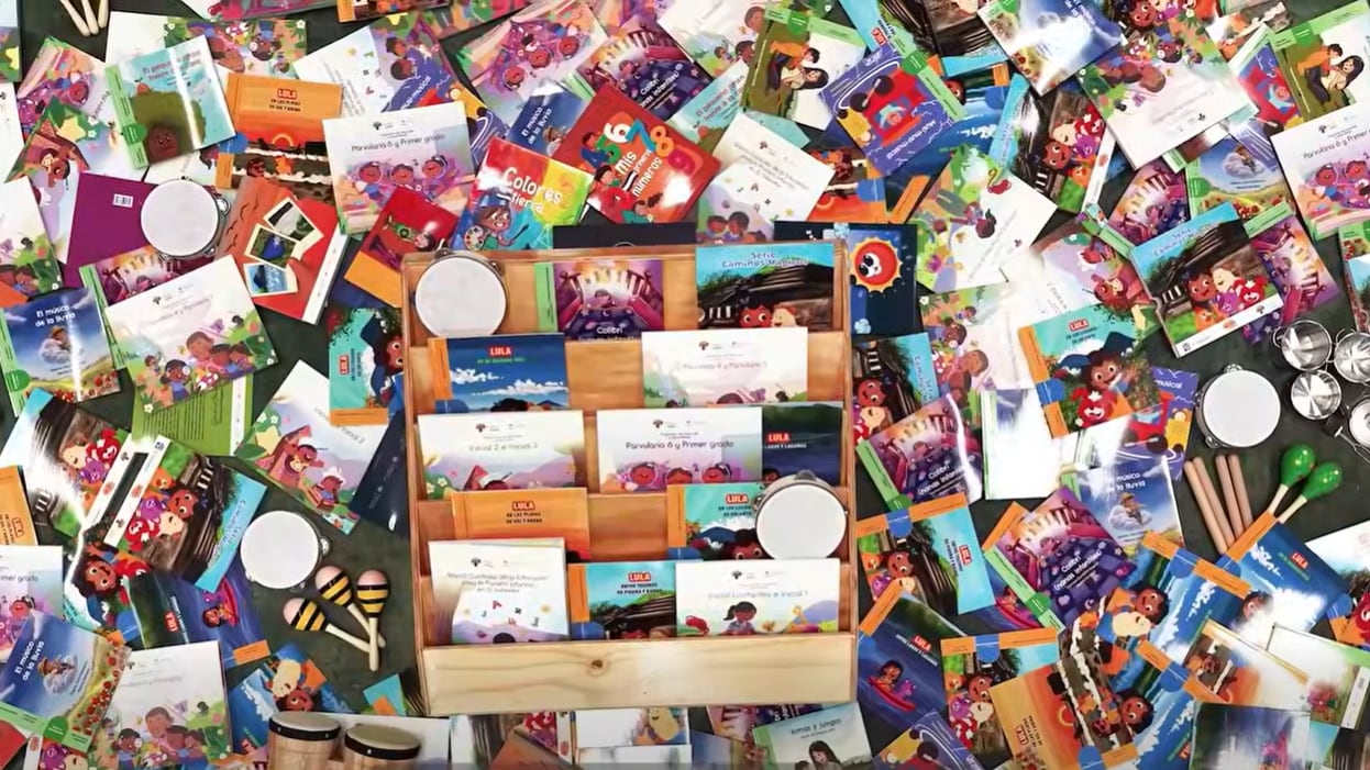 Con apoyo del Banco Mundial, el Gobierno distribuirá 375.000 volúmenes de la Colección Árbol de Vida, 195.000 instrumentos musicales y 37.000 recursos lúdicos para implementar el nuevo Currículo Nacional (Captura de pantalla de video)