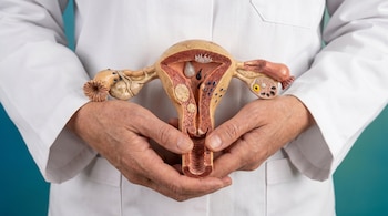 Manos de un profesional con bata blanca sostienen un modelo anatómico detallado del sistema reproductor femenino, incluyendo útero, ovarios y trompas de Falopio.