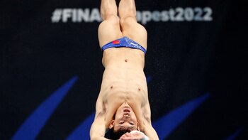 Germany to host 2022 FINA