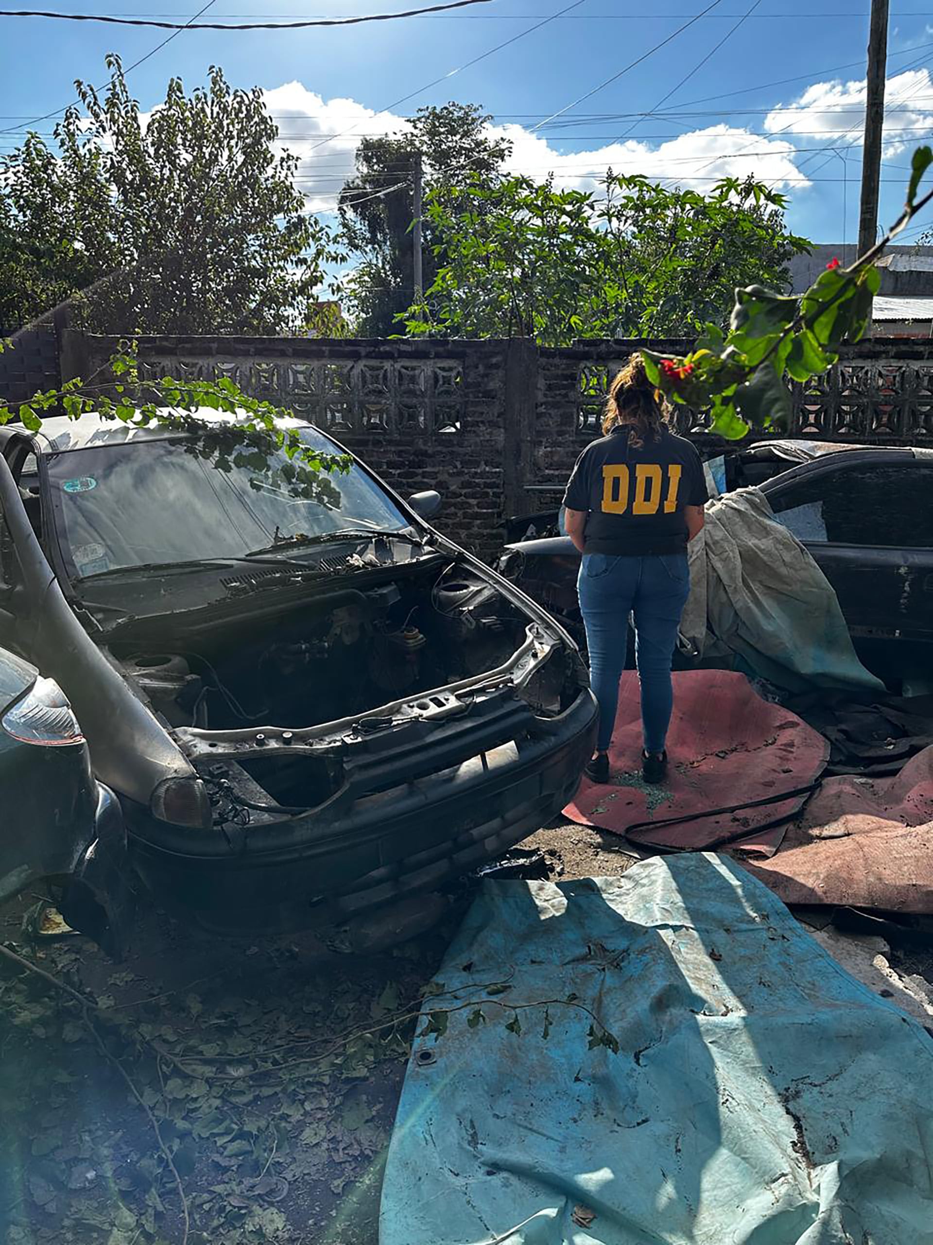 Incautaron un total de seis autos