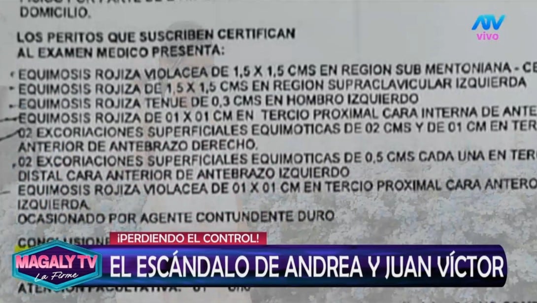 Andrea San Martín tiene prohibido acercarse a su hija y su abogado cuestiona su detención. Captura: Magaly TV La Firme.