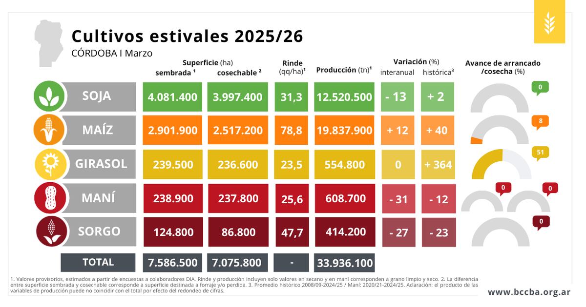 Las lluvias registradas durante febrero reconfiguraron el escenario productivo en Córdoba