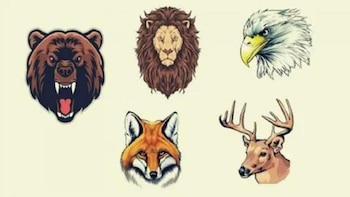 Imagen 7OJDYXJZCZDL5C2ONC2GS2ZTEU