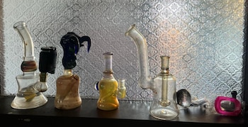 El laboratorio hidropónico tenía capacidad