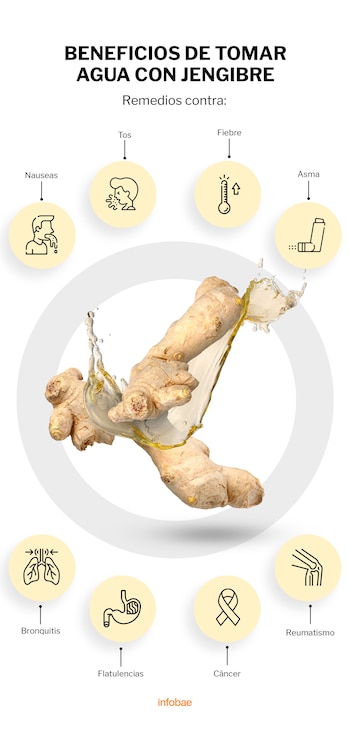 El jengibre es un alimento