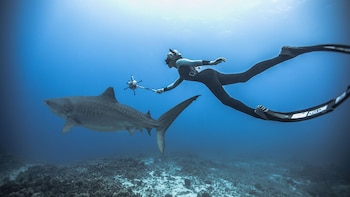 La activista que nada con tiburones para promover su conservación: cómo desafía mitos y temores