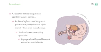 SEP propuso una maqueta que