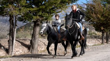 David English llegó a la