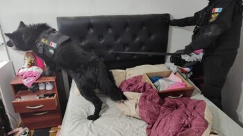 Desarticularon dos puntos de venta