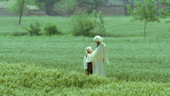 La película china más bella del año: un retrato rural de una sensibilidad arrolladora