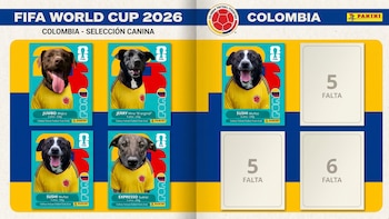 Así es el álbum Panini de perritos en adopción que enternece las redes sociales: “Es un canini”