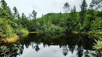 Descubra la mágica laguna que tiene forma de corazón y es una de las joyas ocultas de Medellín