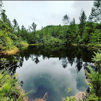 La Laguna de Normandía conecta los municipios de Envigado y El Retiro a través de una ruta natural en Antioquia (Facebook/La Romera Corporación)