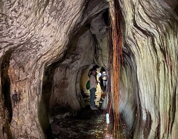 Imagen de las cavernas rupícolas