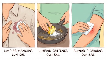Sal de mesa: trucos para quitar manchas, limpiar sartenes y aliviar picaduras de insectos