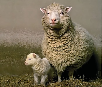 Se necesitaron 276 intentos para