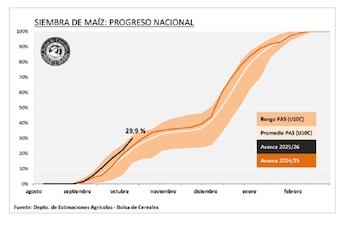 Siembra de maíz de la campaña agrícola 2026/27: avance a octubre de 2026
