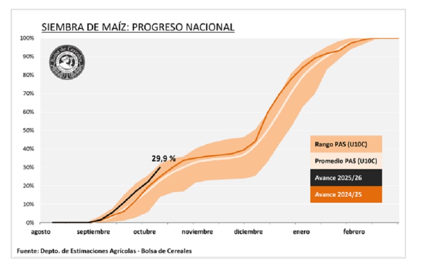 La Bolsa de Cereales de Buenos Aires indicó que la siembra de maíz con destino a grano comercial para la campaña 2026/27 cubre el 29,9% de las 8,4 millones de hectáreas proyectadas (BCBA)