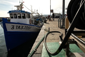 Imagen 7PBCI53XAFBRPPRAIDIOHDKANM