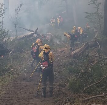 Más de 300 brigadistas trabajaron